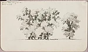 Elms--Eton, England by George Elbert Burr