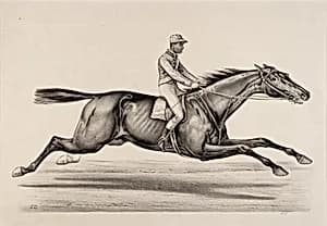 Emperor of Norfolk by John Cameron