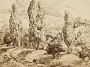 Fields of Asolo by Donald Shaw MacLaughlan