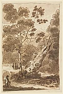 Figure in Forest