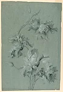 Floral Design by Unknown