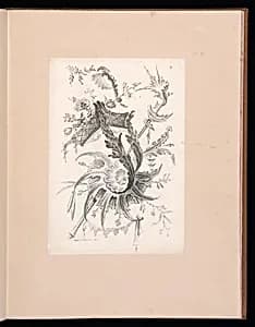 Floral Ornament Design by Gabriel Huquier, French, 1695–1772