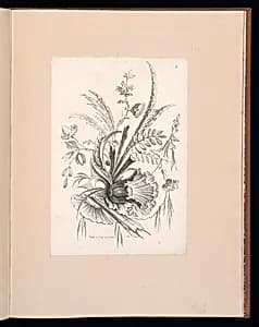 Floral Ornament Design by Gabriel Huquier, French, 1695–1772