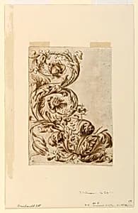 Floral Ornament by Unknown