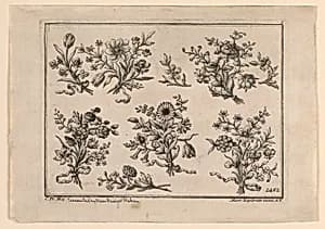 Flowers by Martin Engelbrecht, German, 1684–1756