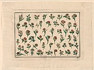 Flowers by Unknown