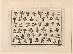 Flowers by Unknown