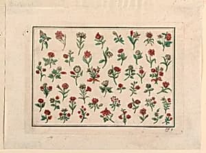 Flowers by Unknown