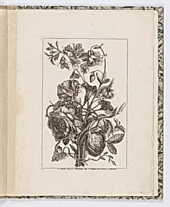 Flowers by Jean Mariette, French, 1660–1742