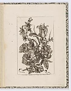 Flowers by Jean Mariette, French, 1660–1742