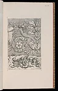 Foliate Scroll Designs by D. Antoine Pierretz, French, active 1647