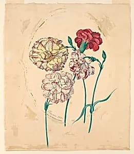 Four carnations by Unknown