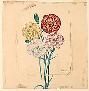 Four carnations by Unknown