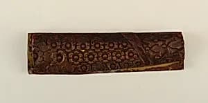 Fragment by Unknown