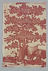 Fragment by Unknown