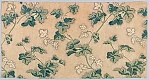 Fragment by Unknown