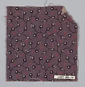 Fragment by Unknown