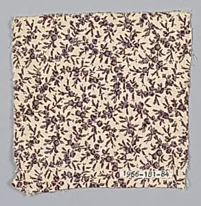 Fragment by Unknown