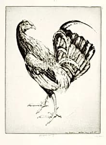 Game Cock by Emerson Tuttle