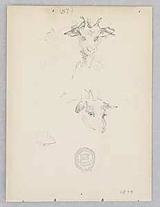 Goat by Robert Frederick Blum, American, 1857–1903