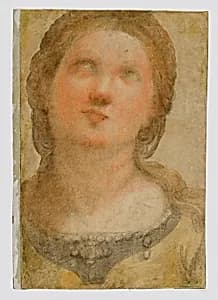 Head of Saint Cecelia