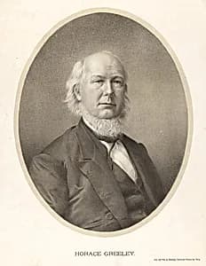 Horace Greeley by A. L. Edwards, 1870 - 1880?