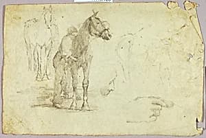 Horse and Rider by Solon H. Borglum