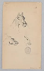 Horse by Robert Frederick Blum, American, 1857–1903