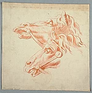Horse Studies by Unknown