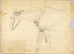 Horse Study by Solon H. Borglum