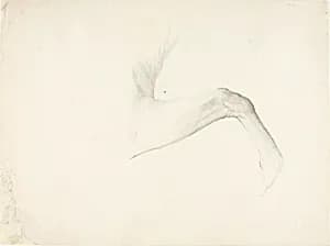 Horse's Leg by Solon H. Borglum