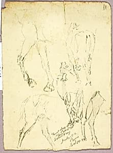 Horses by Solon H. Borglum
