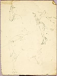 Horses by Solon H. Borglum