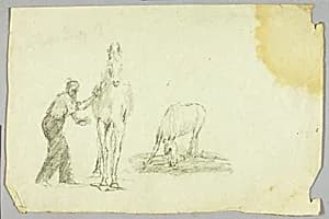 Horses by Solon H. Borglum