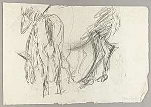Horses