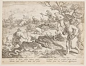 Hunting snakes by Jan van der Straet, called Stradanus, Flemish, 1523–1605