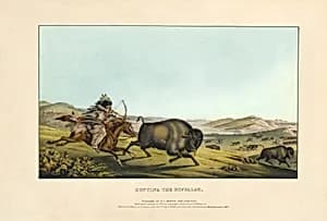 Hunting the Buffaloe by Alfred M. Hoffy, active 1835 - 1864