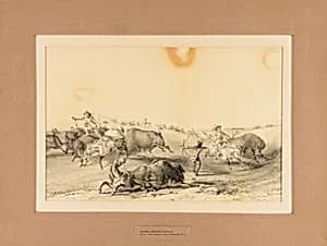 Indians Hunting Buffalo--no. 7 by George Catlin