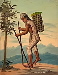 Indio Saparo by Unidentified (South American?)