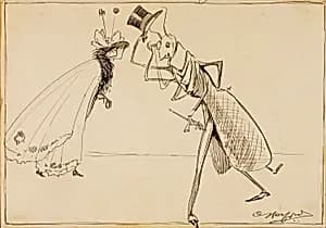 Insects
