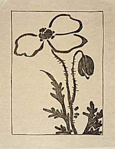 Ipswich Prints: Poppy by Arthur Wesley Dow
