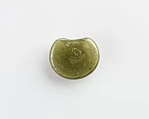 Irregular disk (amulet ?) by Unknown