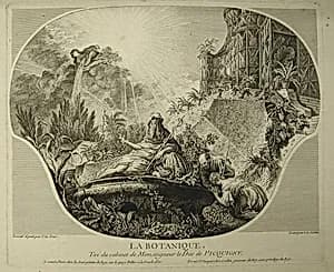 LA BOTANIQUE. by Jacques de Lajoüe, French, 1687–1761