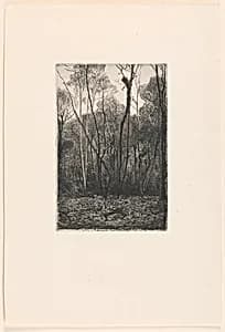Landscape with trees