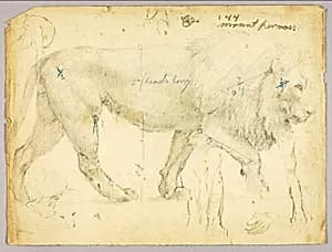 Lion by Solon H. Borglum