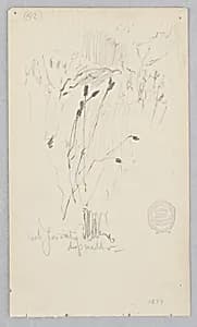 Madder by Robert Frederick Blum, American, 1857–1903
