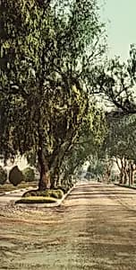 Marengo Avenue, Pasadena by Unidentified