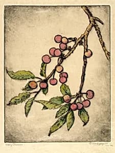 May Cherries by Bertha E. Jaques