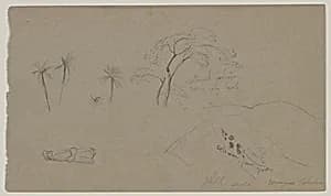Mixed Sketches, Jamaica by Frederic Edwin Church, American, 1826–1900