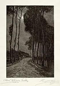 Moonlight in Holland by Henry Wolf